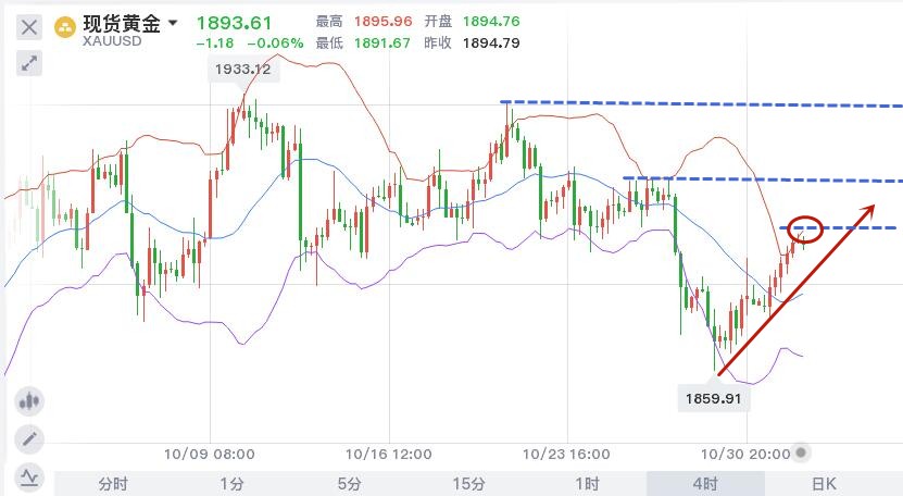 11.3早黄金.jpg