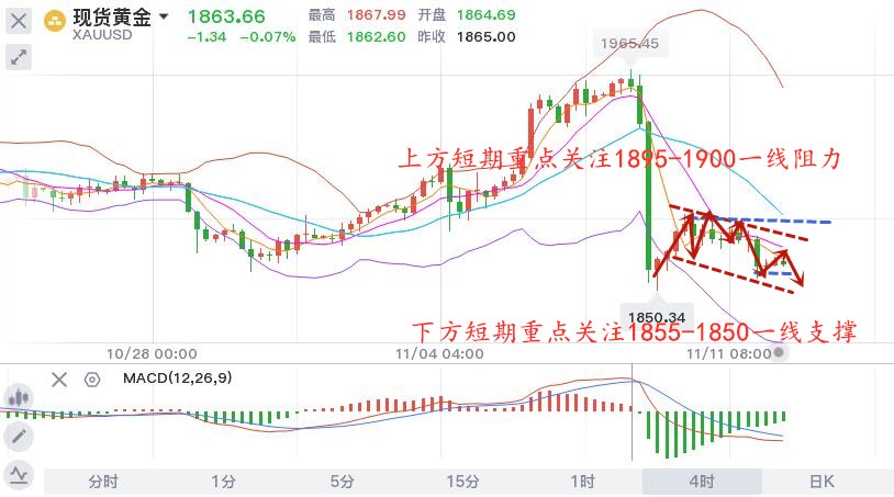 11.12早黄金.jpg