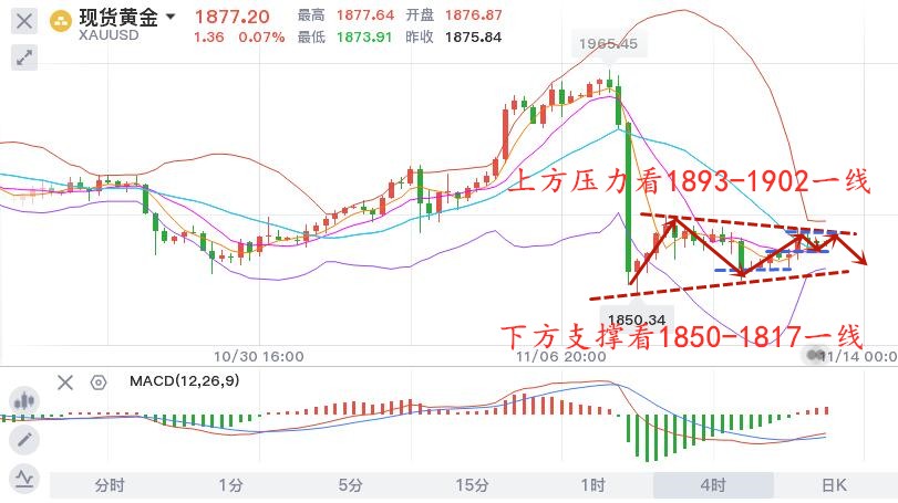 11.13早黄金.jpg