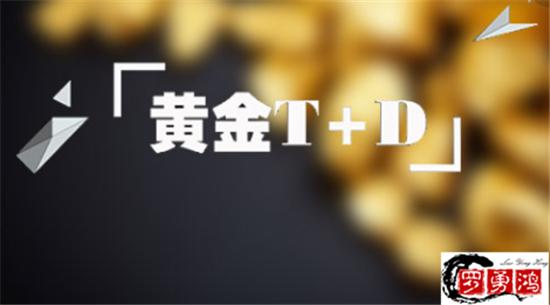 罗勇鸿：黄金白银TD投资，一文写出止损的重要意义！