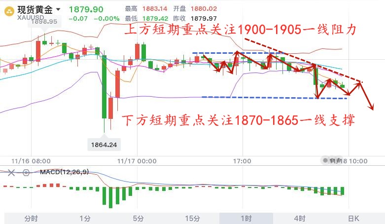 11.18早黄金.jpg