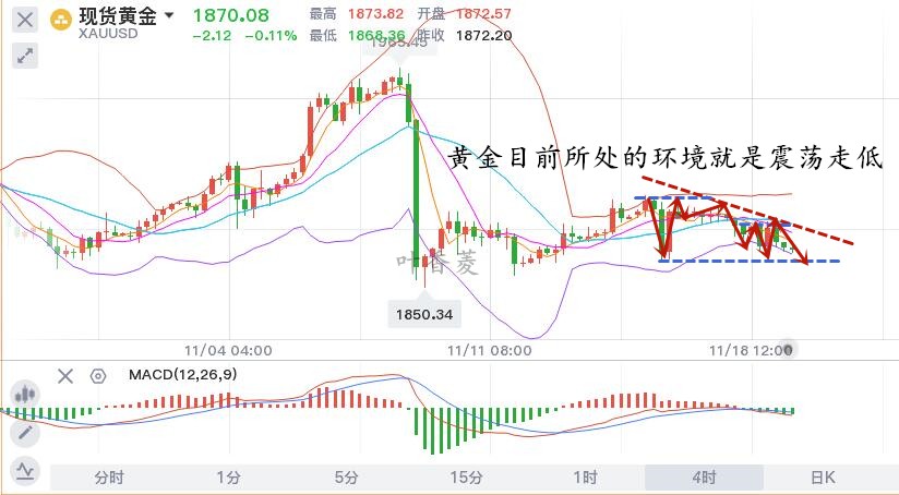 11.19早黄金.jpg