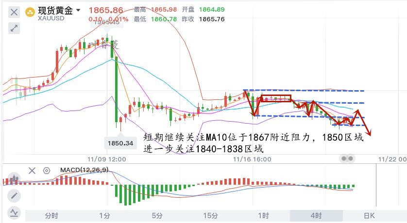 11.20早黄金.jpg