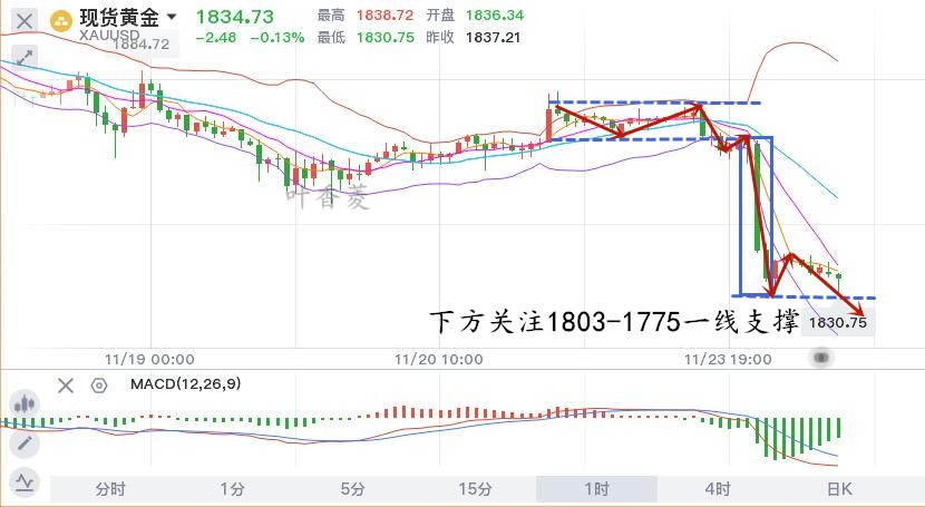 11.24早黄金.jpg