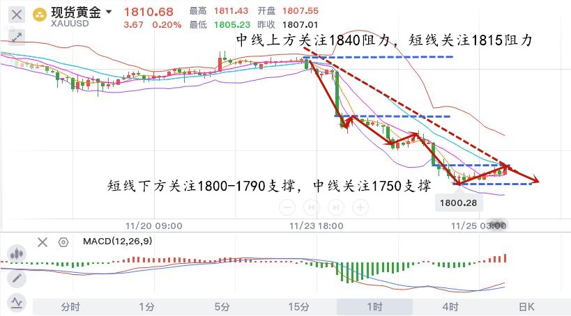 11.25早黄金.jpg