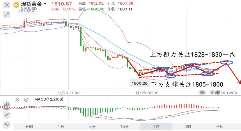 11.26早黄金.jpg